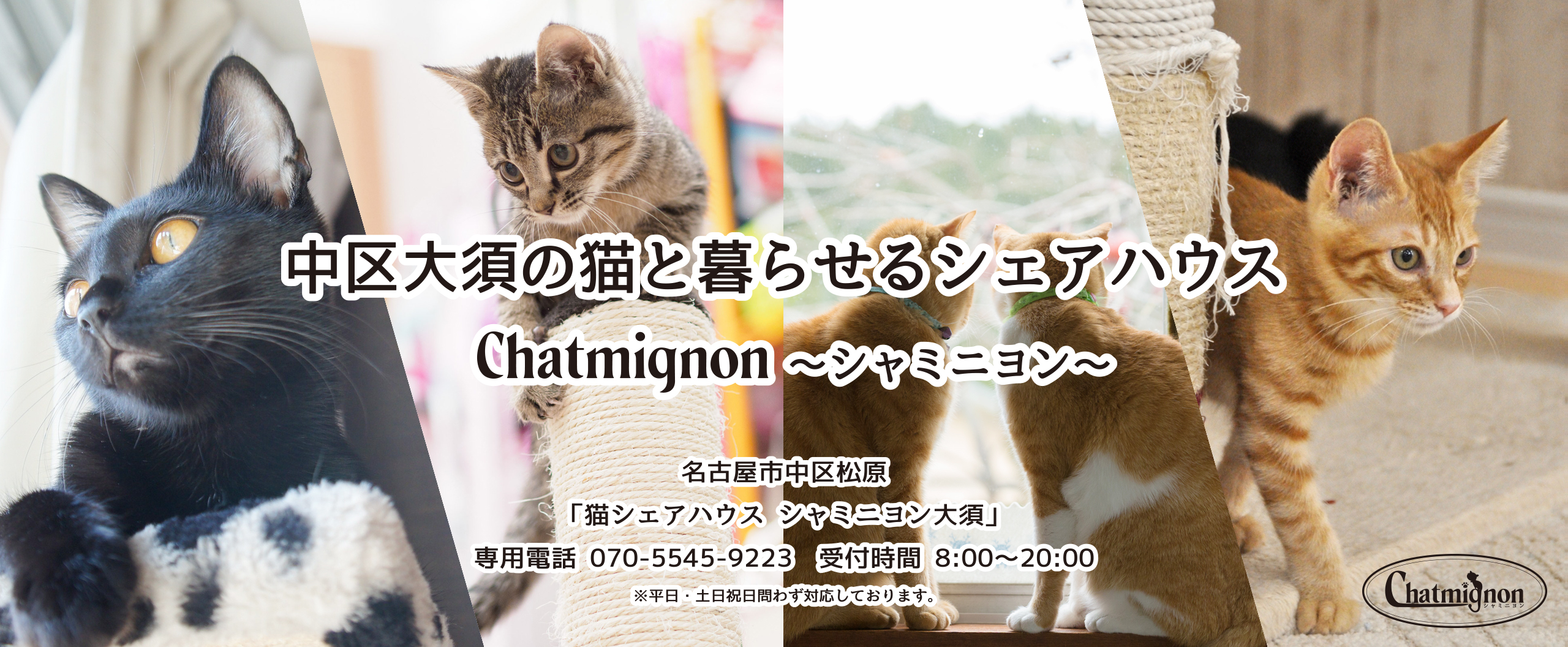 猫と暮らせるシェアハウス